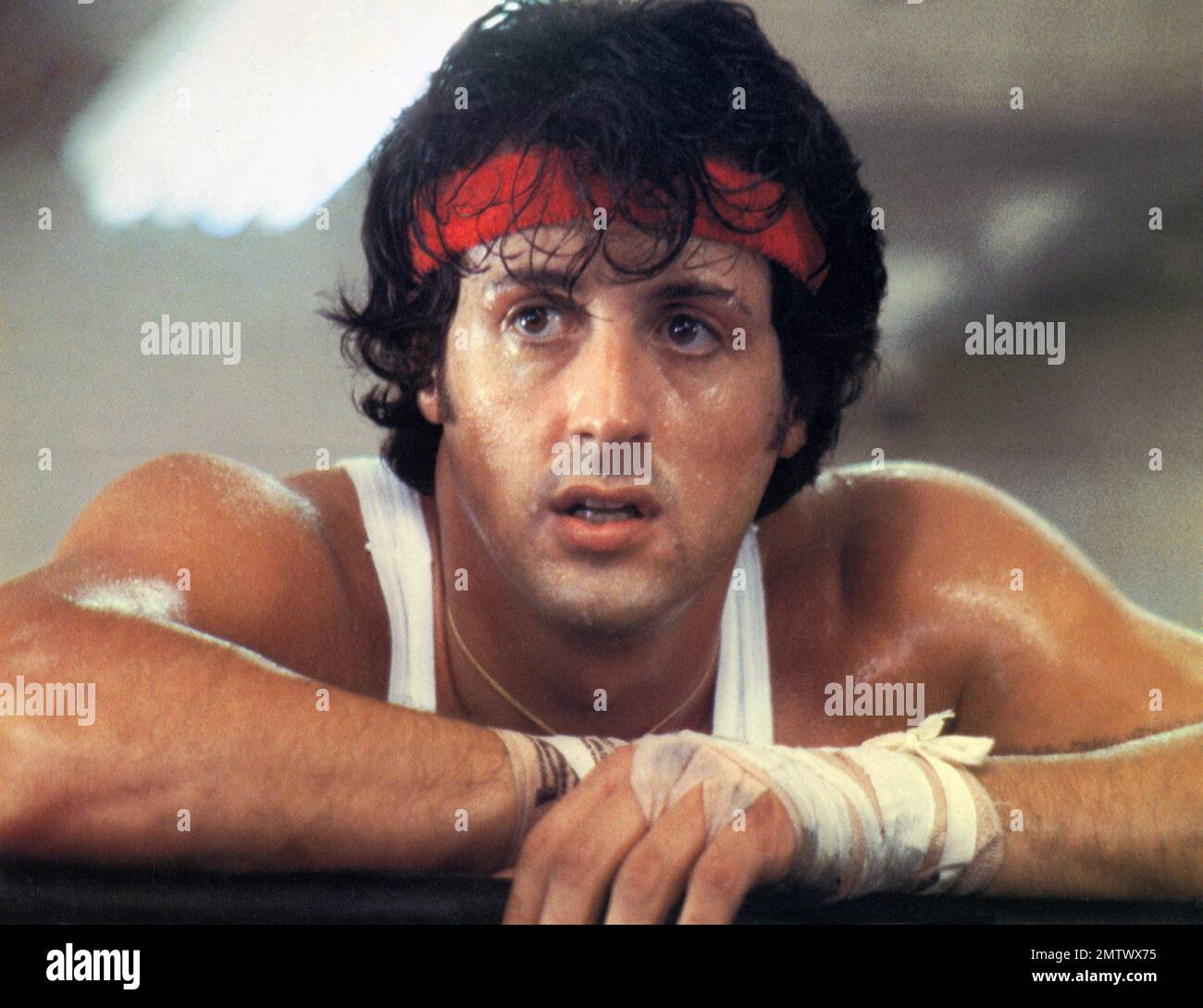 Rocky 2, La Revanche Year 1979 USA Director Sylvester Stallone Sylvester Stallone Stock