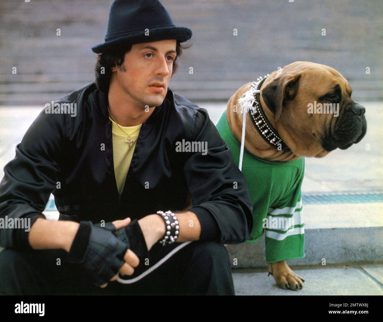 Rocky 2  Year : 1979 USA Director : Sylvester Stallone Sylvester Stallone Stock Photo