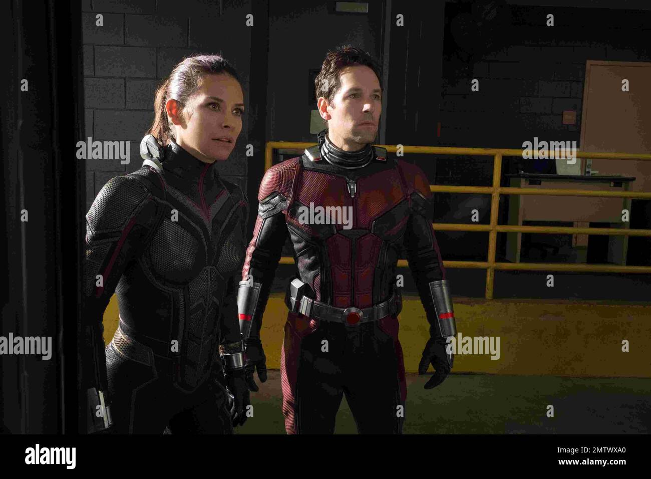 Ant-Man and the Wasp  Year : 2018 USA Director : Peyton Reed Evangeline Lilly, Paul Rudd Stock Photo