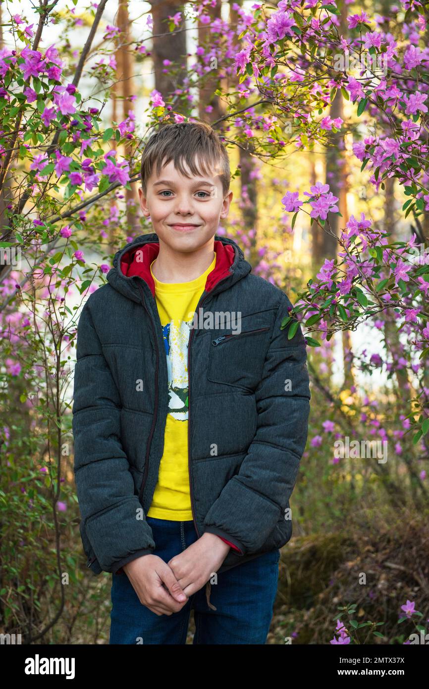 Happy kid travelling in Altai mountains on spring beautiful booming pink Rhododendron flowers background Stock Photo