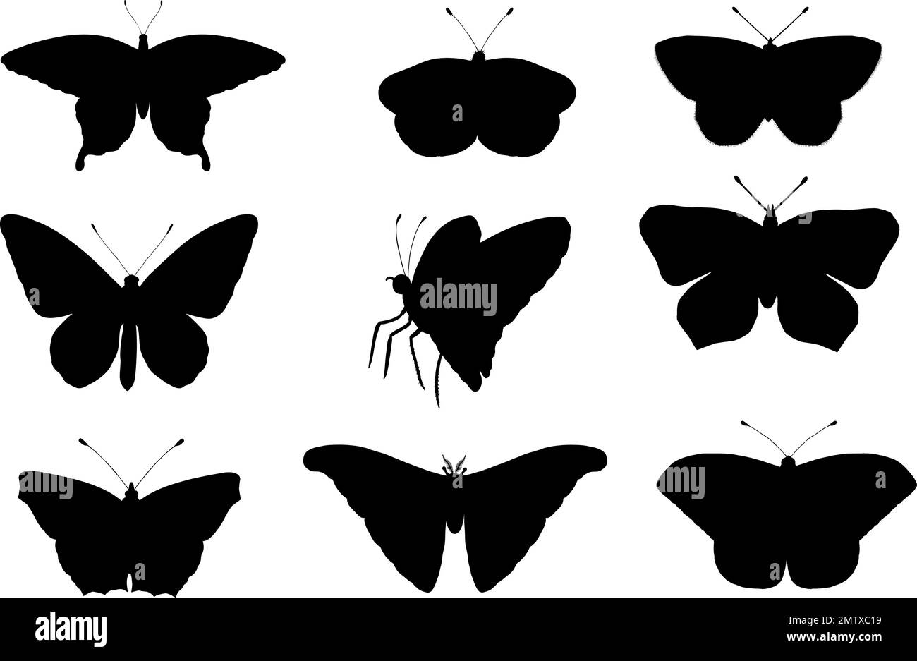 Vector set of butterflies. Hand drawn black silhouettes of atlas moth ...
