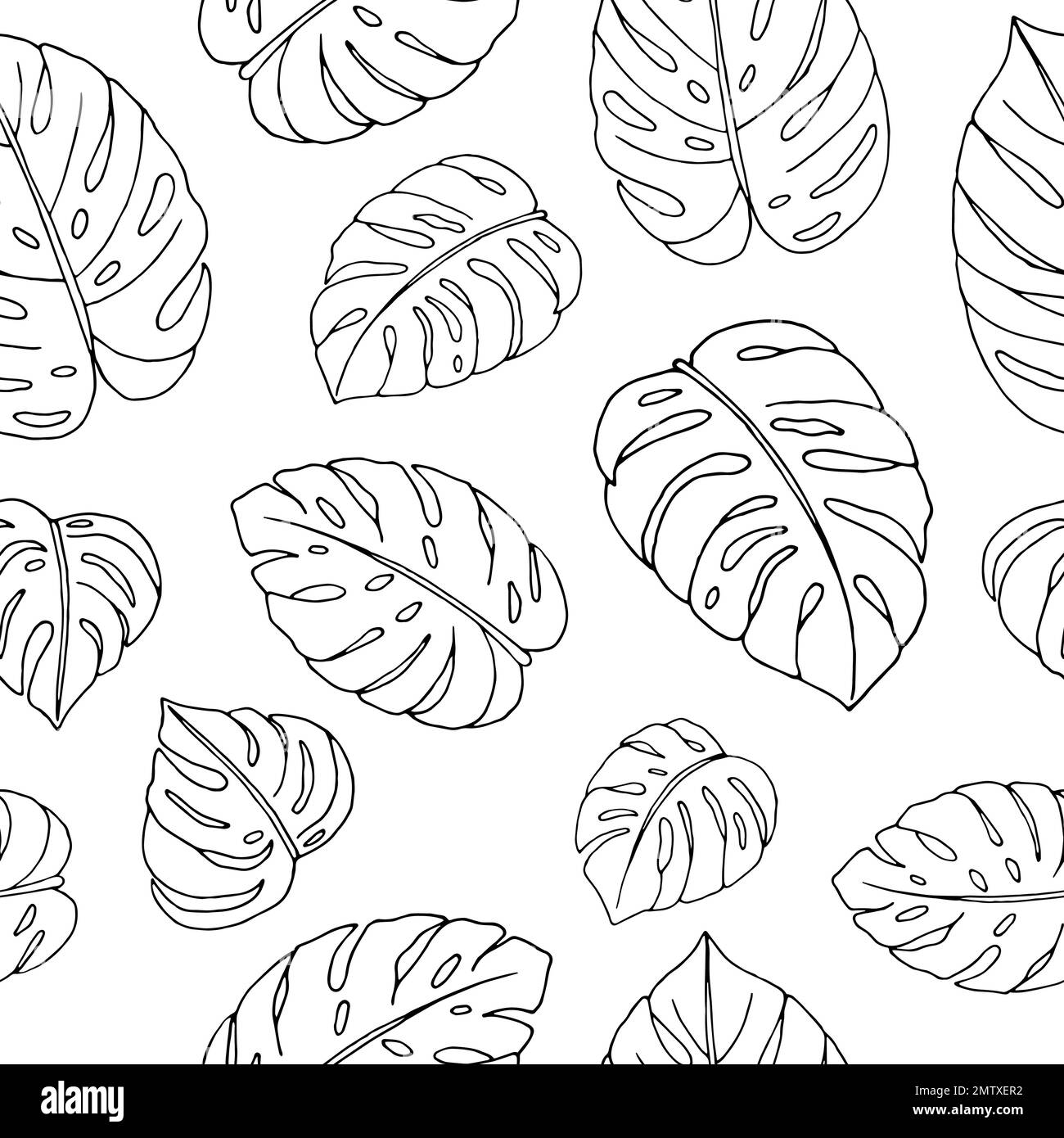 Vector seamless pattern of hand drawn monstera leaves on white background. Repeat tropical backdrop. Exotic jungle wallpaper. Stock Vector