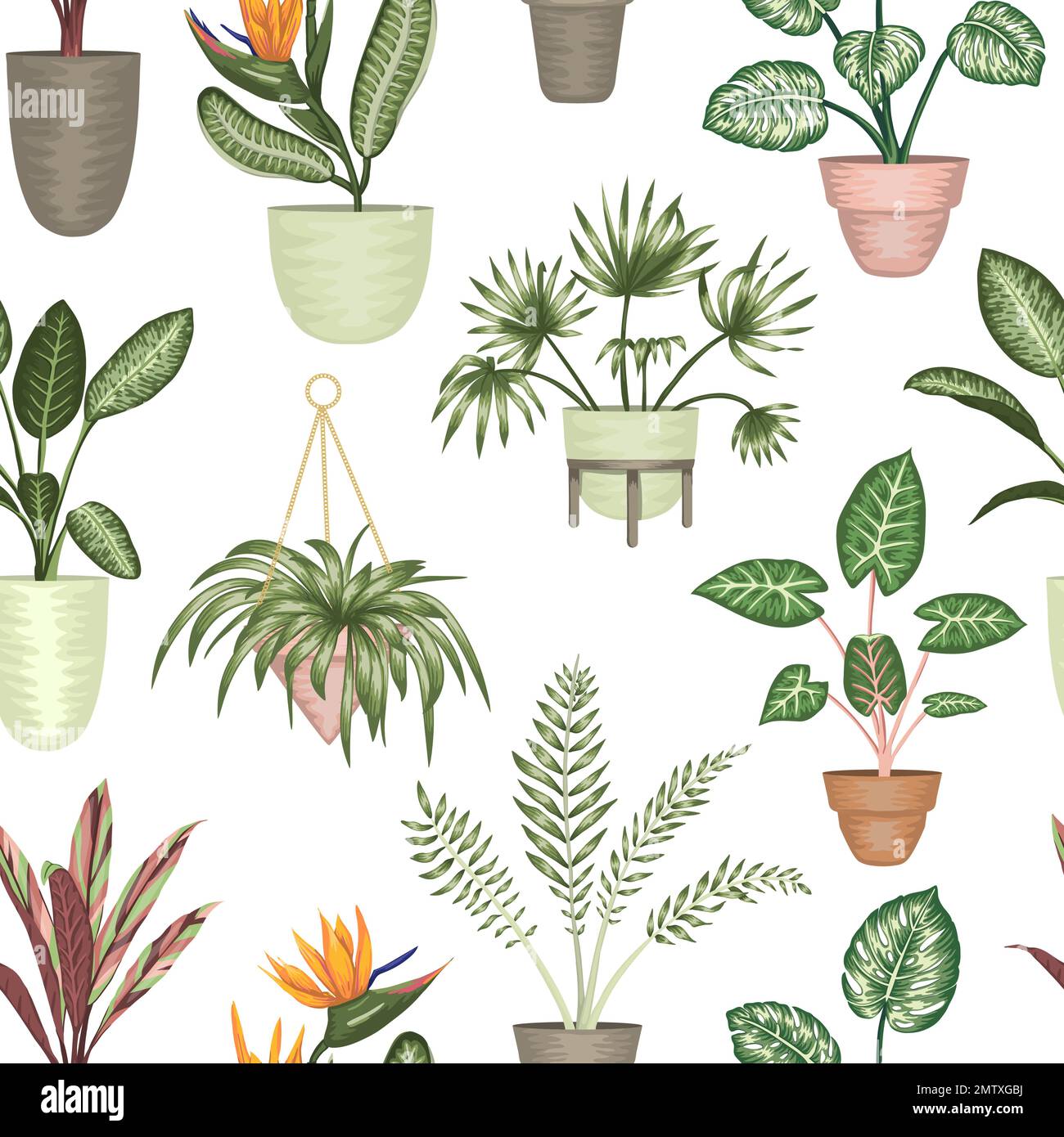 Vector seamless pattern of tropical houseplants in pots isolated on ...