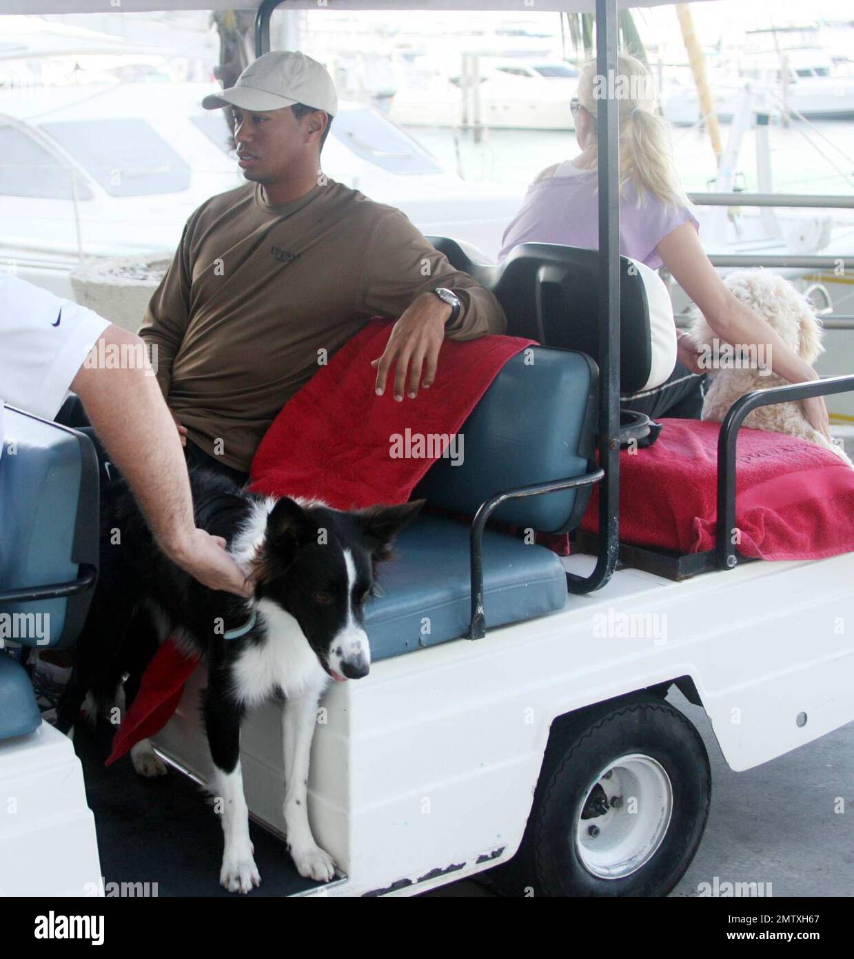 Exclusive!! Golfing superstar Tiger Woods and wife Elin take a break from their yacht 'Privacy' to go to a local gym. Even though Elin is pregnant and showing, she still likes to work out and keep in shape. Miami Beach, FL, 3/25/07 Stock Photo