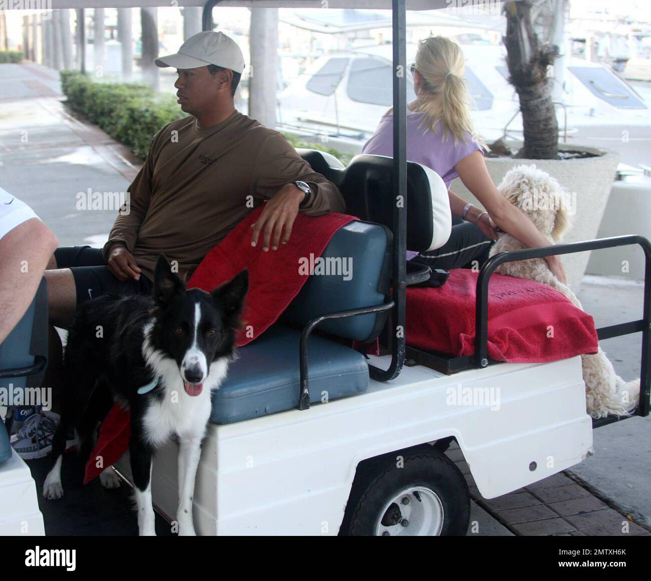 Exclusive!! Golfing superstar Tiger Woods and wife Elin take a break