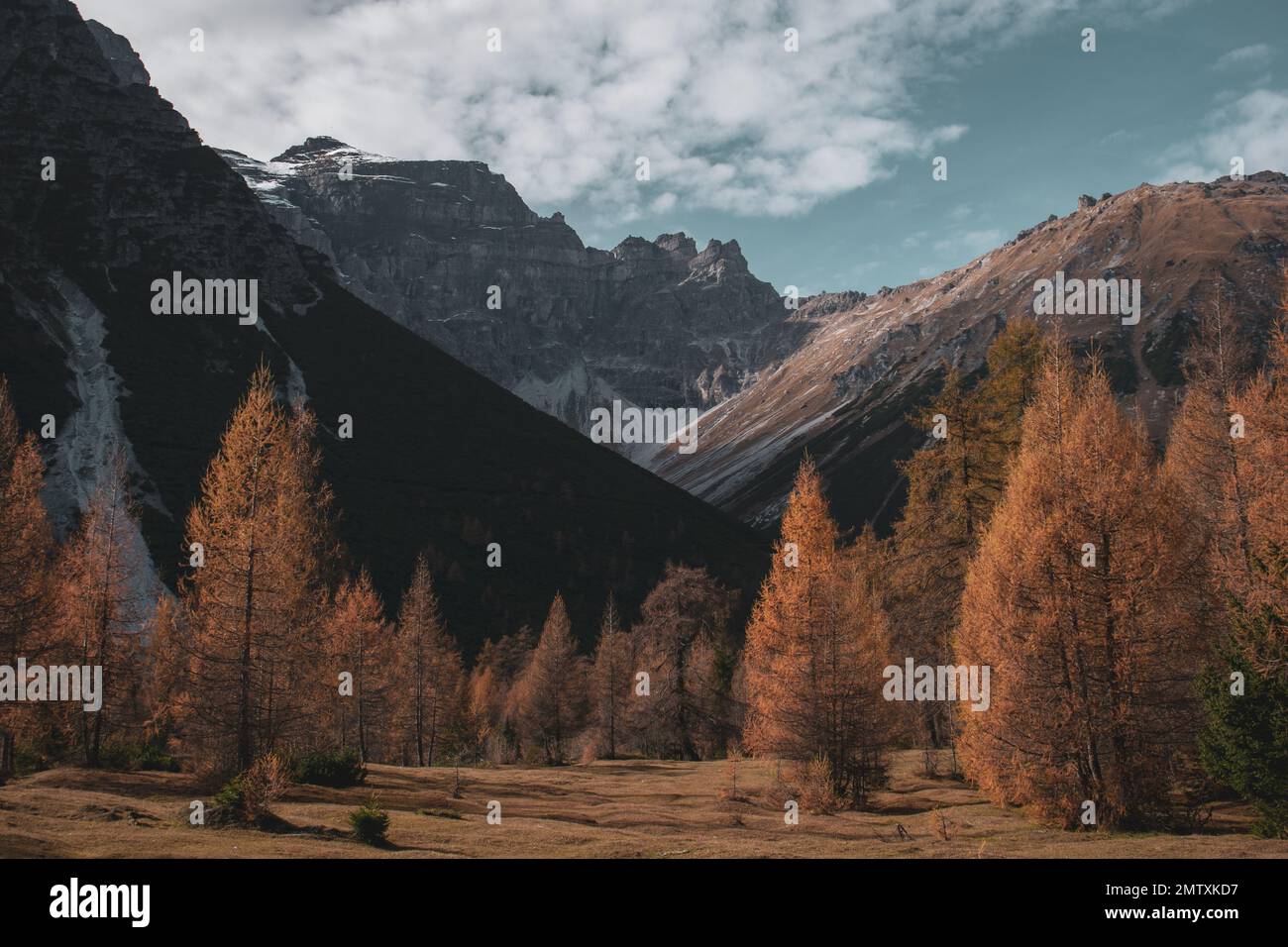 Alpine autumn deciduous forest hi-res stock photography and images - Alamy