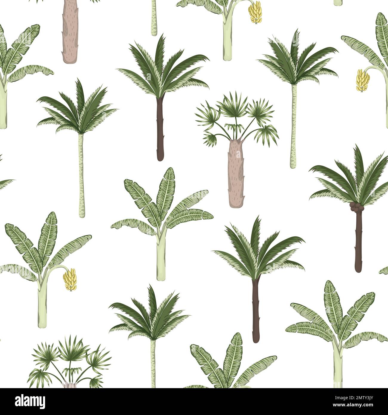 Vector seamless pattern of palm and banana trees on white background ...