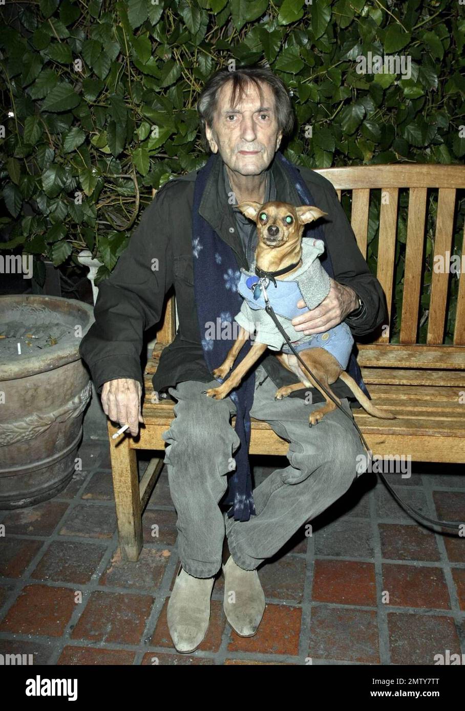 Drew Barrymore's ex-boyfriend, funnyman Tom Green enjoys an evening out at  the restaurant Ago dining with UK comedienne Olivia Lee, star of 