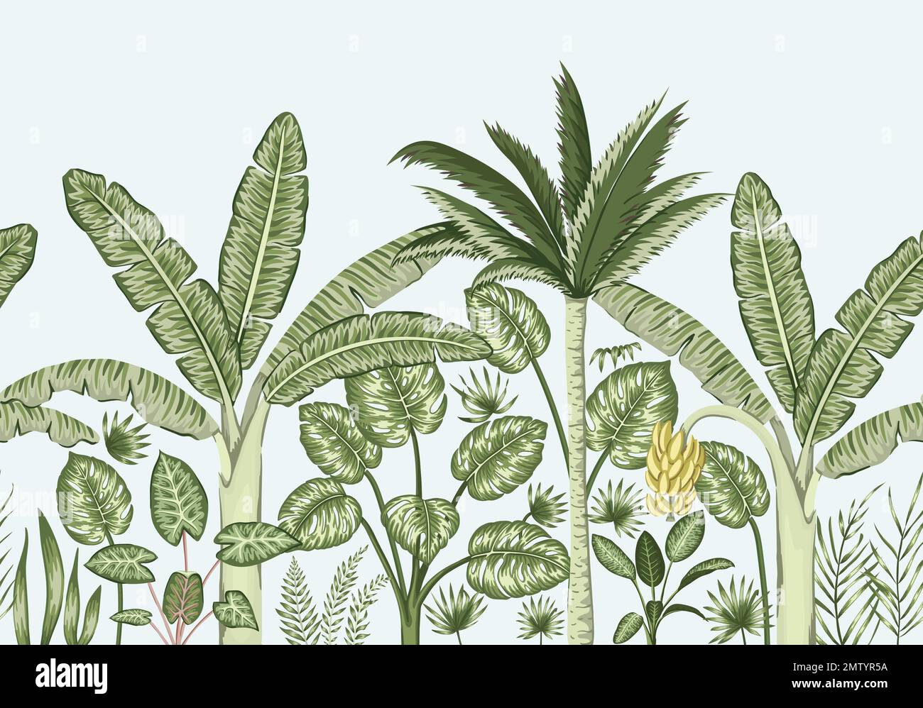 Vector seamless border background with tropical plants. Vintage ...