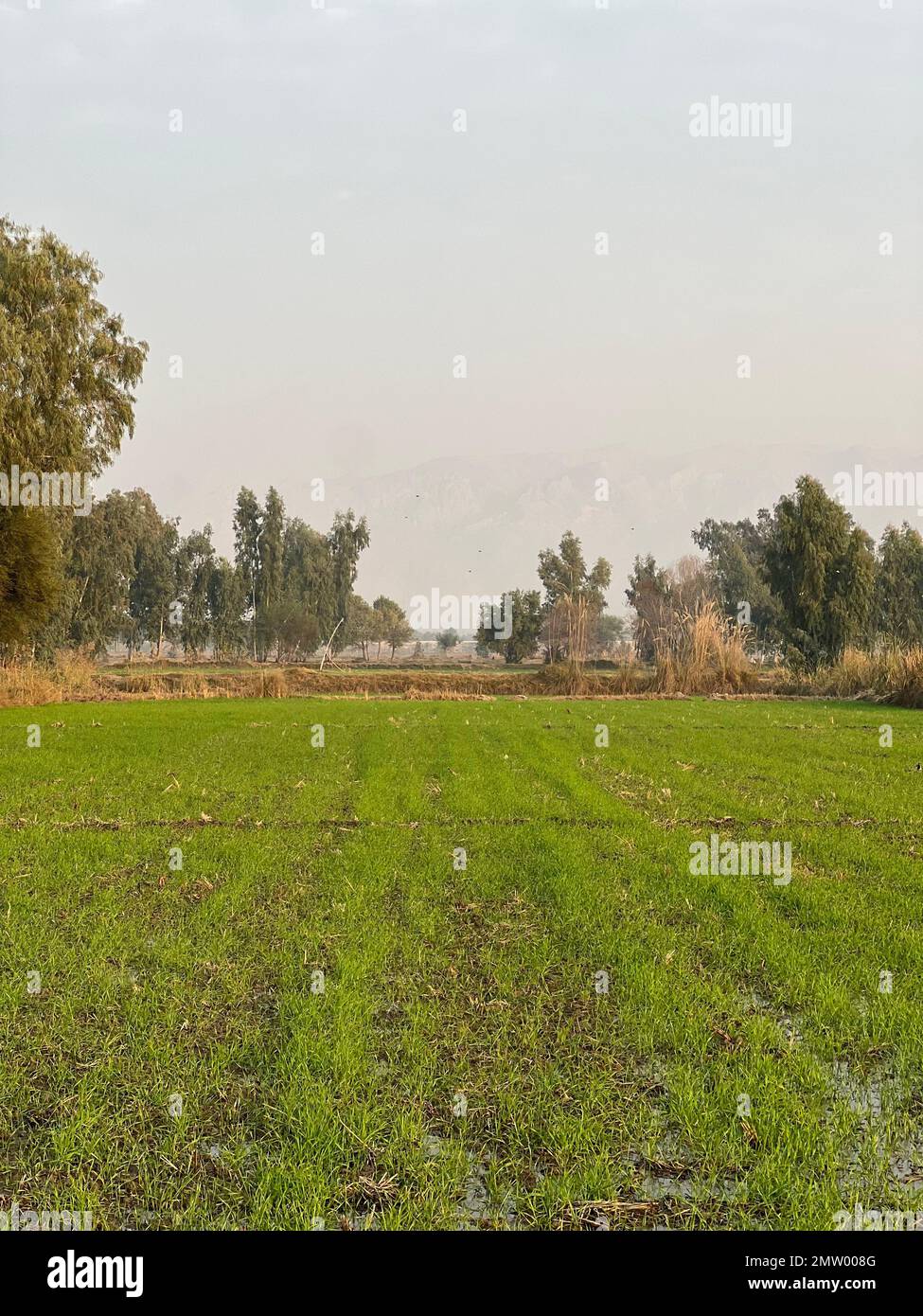 Kacha village hires stock photography and images Alamy