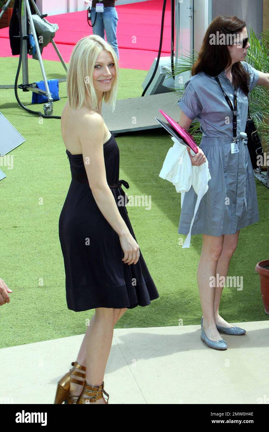 Paltrow, James Gray and Vinessa Shaw attend the photocall for