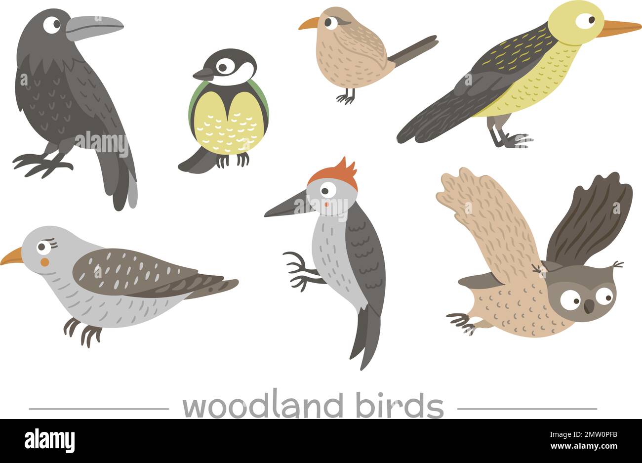 Vector set of cartoon style hand drawn flat funny cuckoos, woodpeckers, owls, raven, wren. Cute illustration of woodland birds for children’s design. Stock Vector