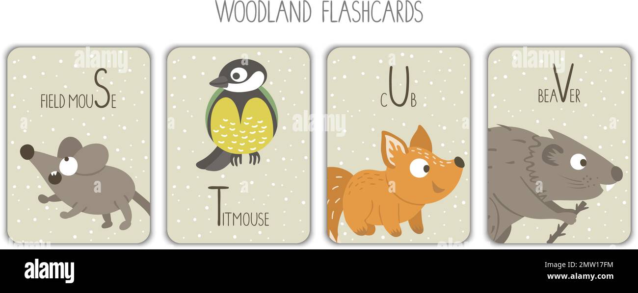 Colorful alphabet letters S, T, U, V. Phonics flashcard. Cute woodland themed ABC cards for teaching reading with funny mouse, titmouse, fox, beaver. Stock Vector
