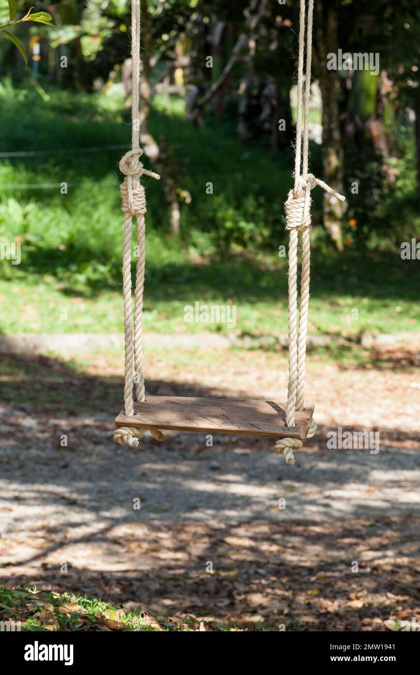 swing hanging from a tree. Stock Photo