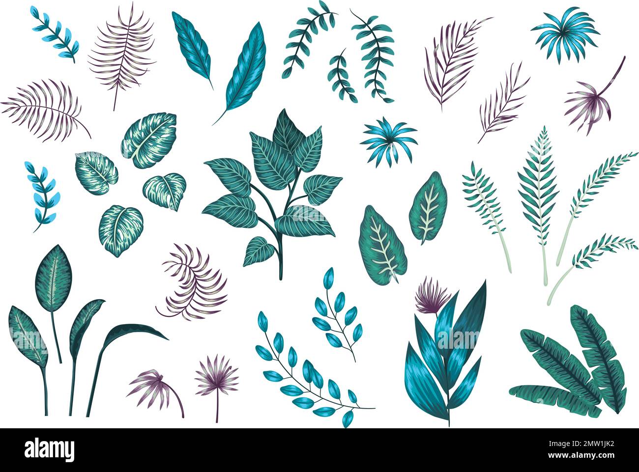 Vector set of tropical plants and leaves. Exotic jungle illustration ...