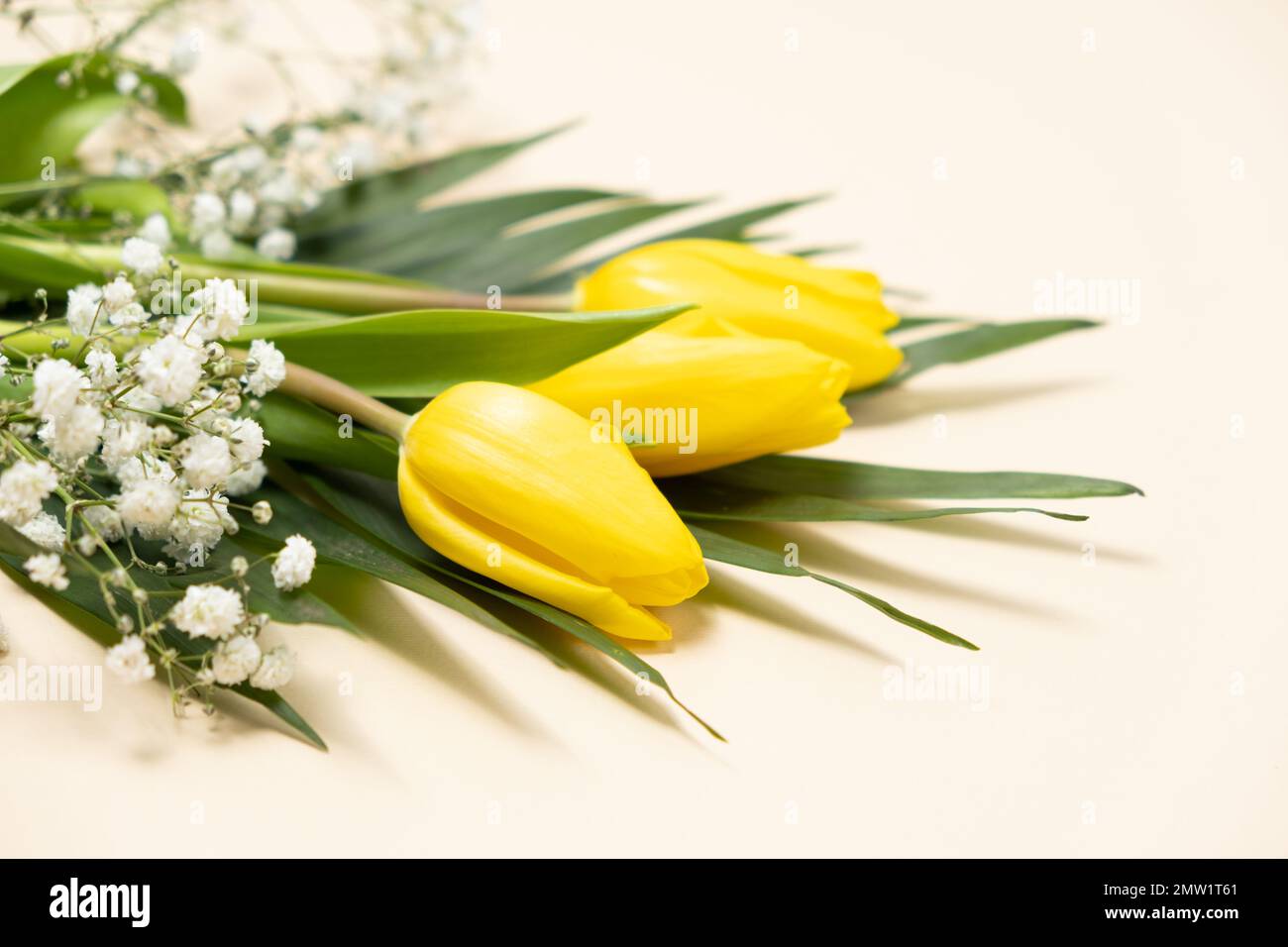 Bouquet of flowers of tulips and gypsophila on a white background ...