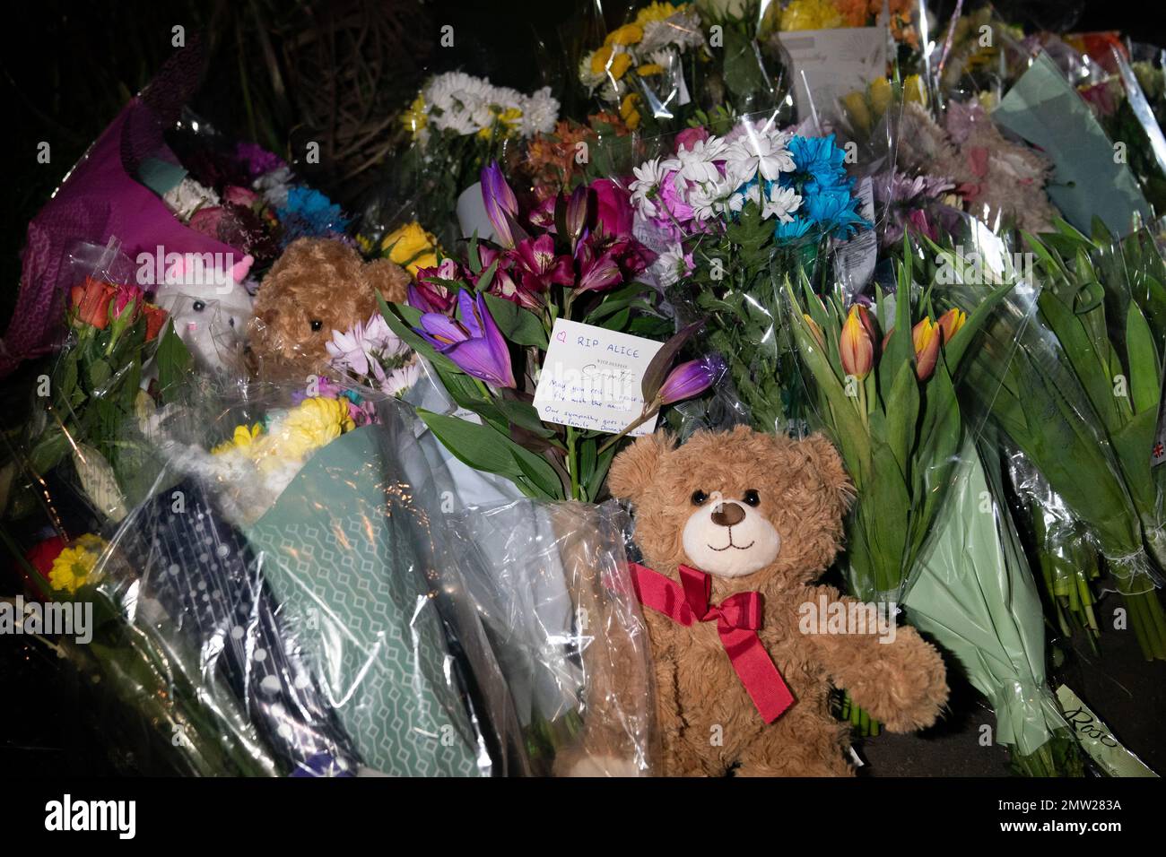 Flowers and teddy bears at the scene on Broadlands, Netherfield, Milton Keynes, Buckinghamshire, where a four-year-old girl died after a dog attack in the back garden of a nearby property is believed to have been killed by a family pet in a 'tragic, isolated incident', Thames Valley Police said. Picture date: Wednesday February 1, 2023. Stock Photo