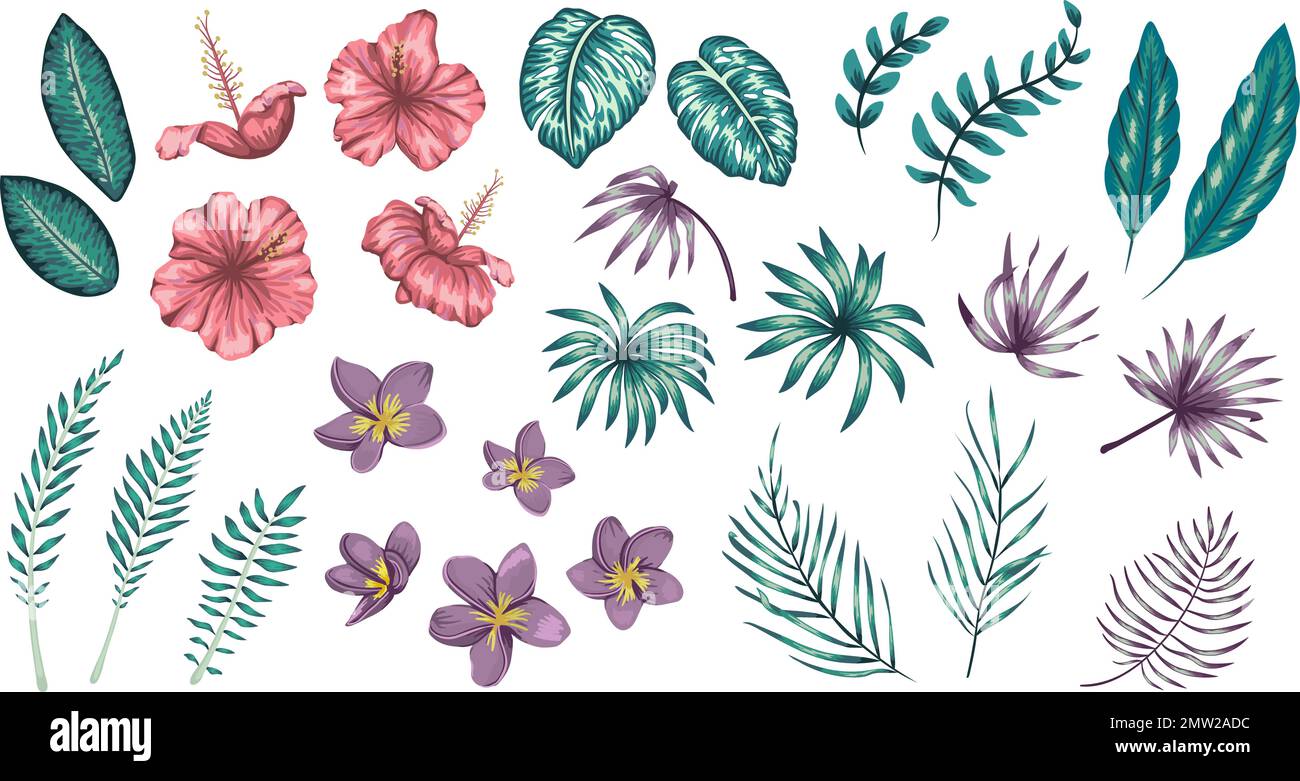 Vector set of tropical flowers and leaves isolated on white background ...