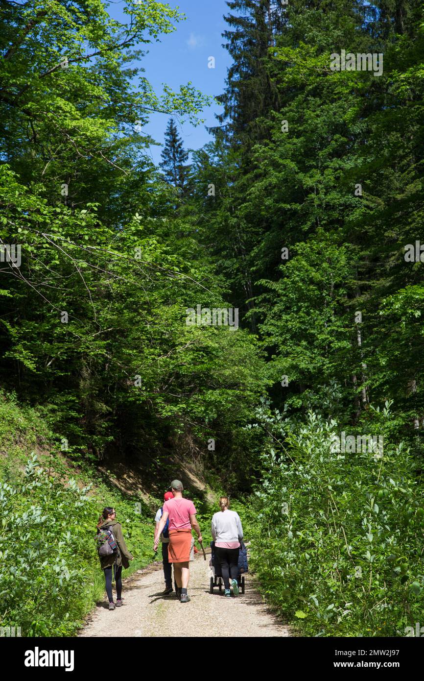 Walking together nature trail hi-res stock photography and images - Alamy
