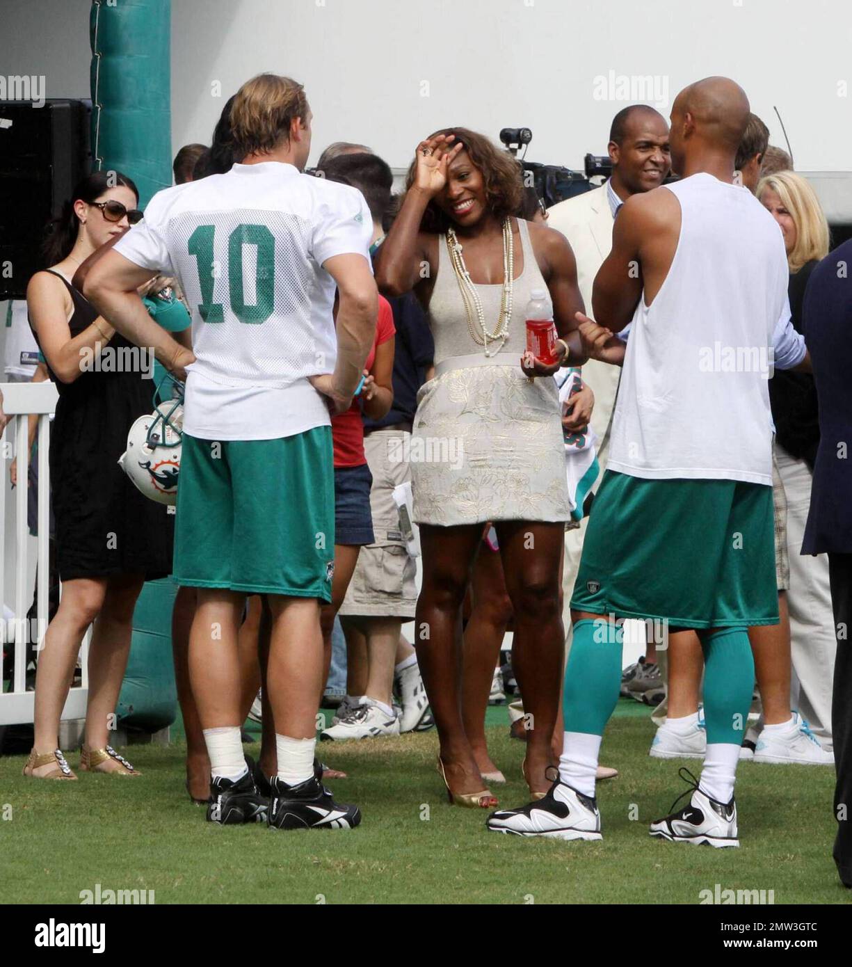 Owner and Managing General Partner of the Miami Dolphins, Stephen M