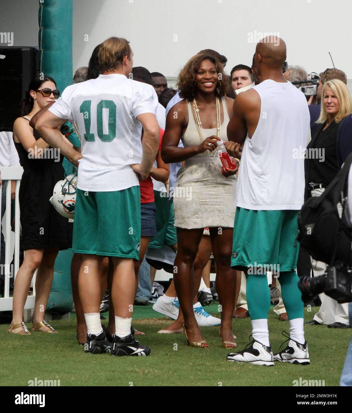  Owner and Managing General Partner of the Miami Dolphins, Stephen M