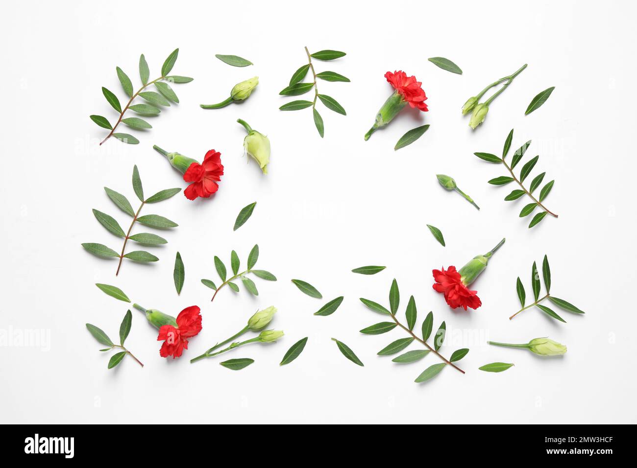Frame made of beautiful flowers on white background, top view with ...