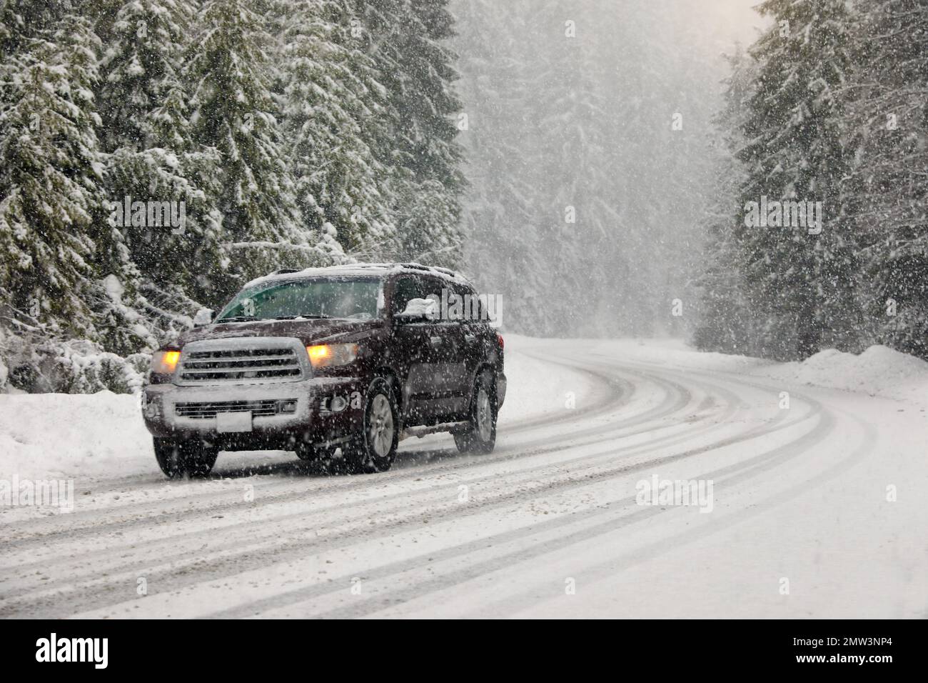 Modern car on snowy road near forest. Winter vacation Stock Photo - Alamy