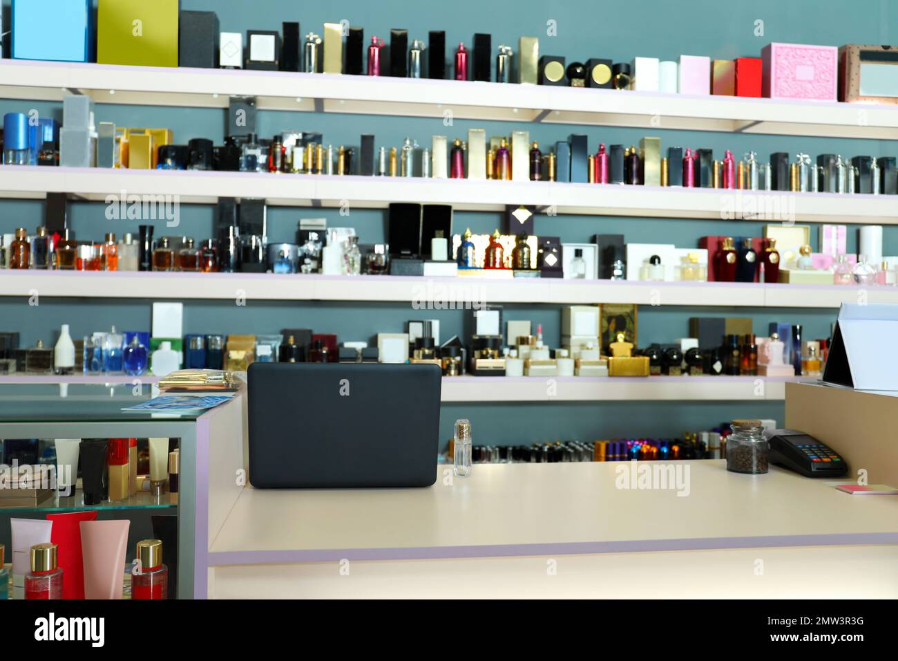 Counter and shelves with perfume bottles in shop Stock Photo Alamy