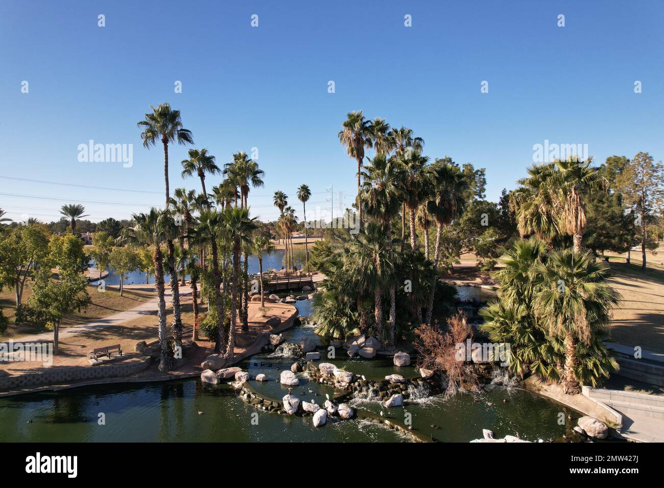 An aerial view of palm trees and lakes with green water in a park in