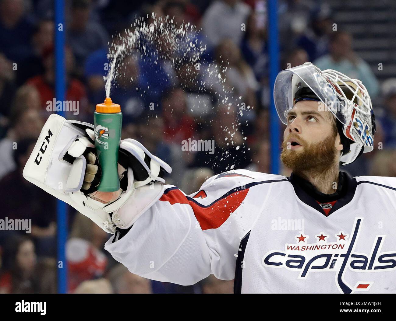 Braden Holtby Washington Capitals Player-Issued 2018 All-Star Game