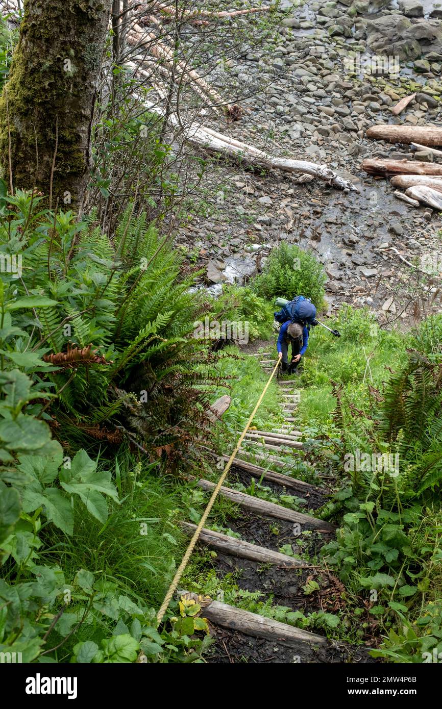 WA20810-00....WASHINGTON - Vicky Spring  asending a headland north of Oil City Beach , Olympic National Park. MR #S1 Stock Photo