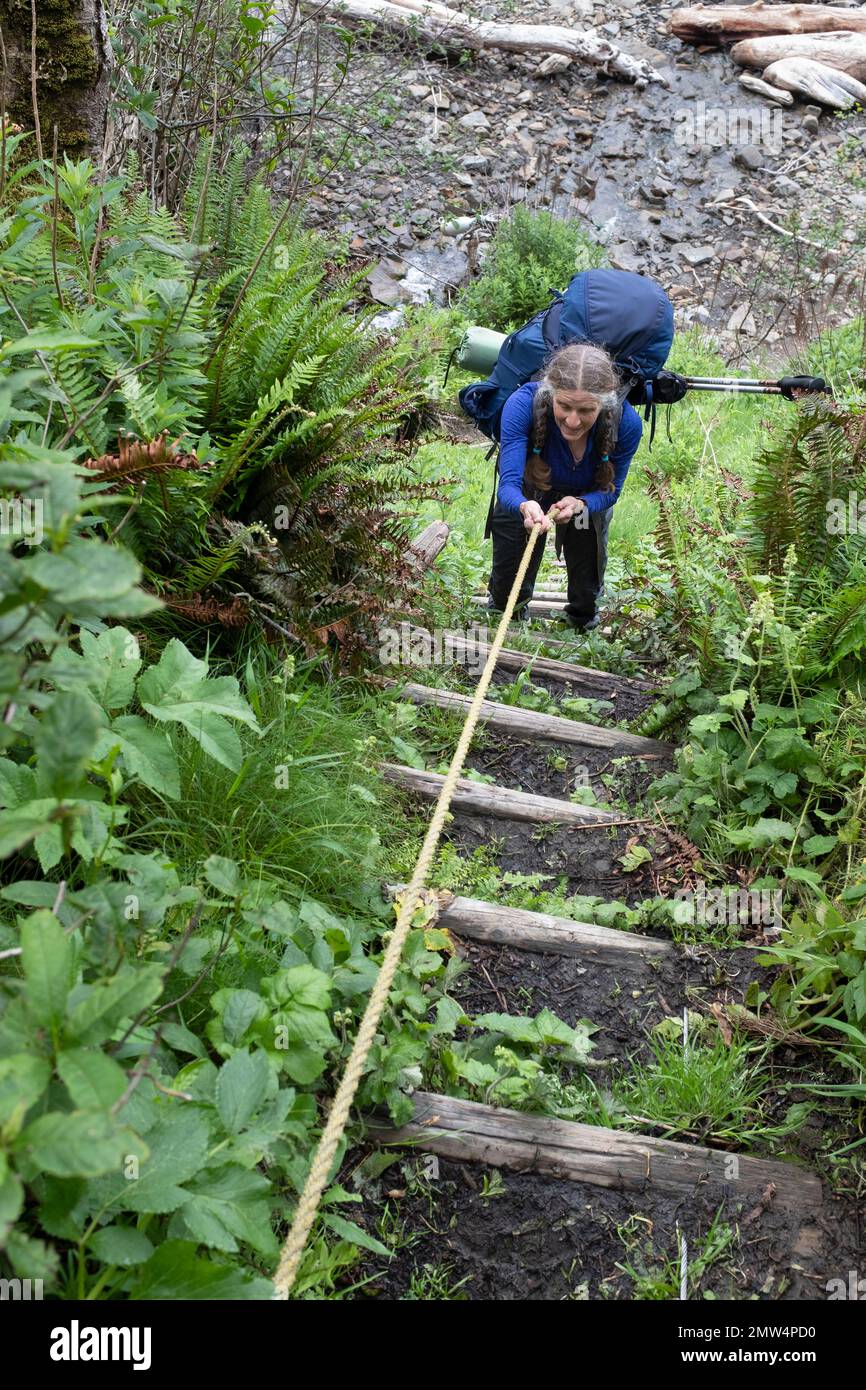 WA20811-00....WASHINGTON - Vicky Spring  ascending a headland north of Oil City Beach, Olympic National Park. MR #S1 Stock Photo