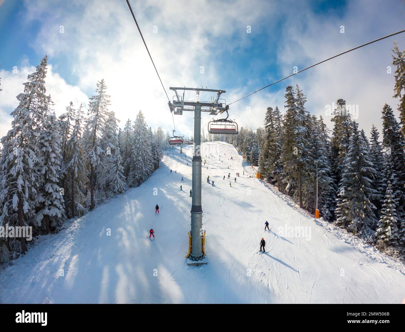A distant view of people skiing under the ropeway surrounded by pine ...