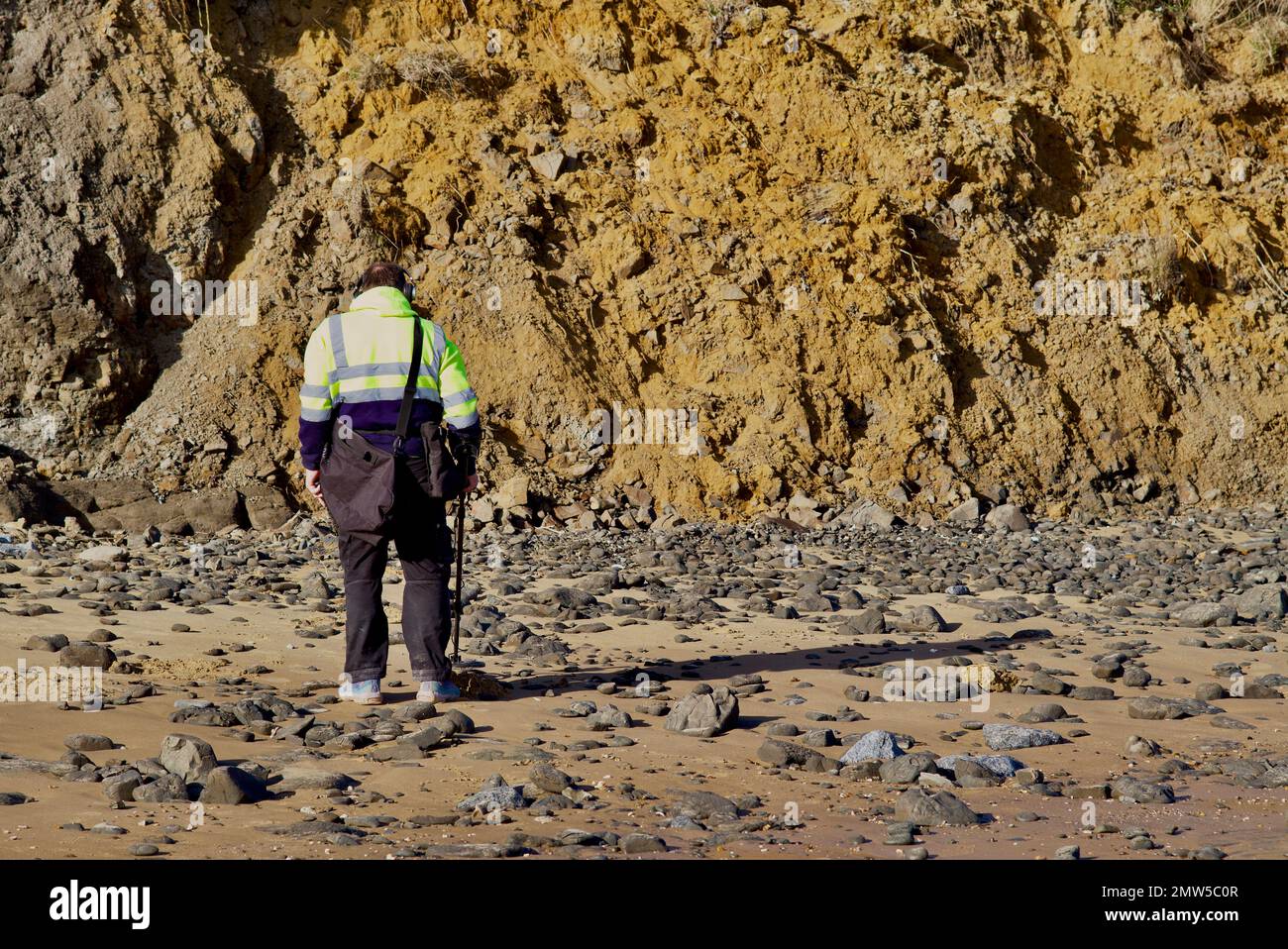 Metal detectorist at The Naze in Essex below the crumbling cliffs Stock Photo Alamy