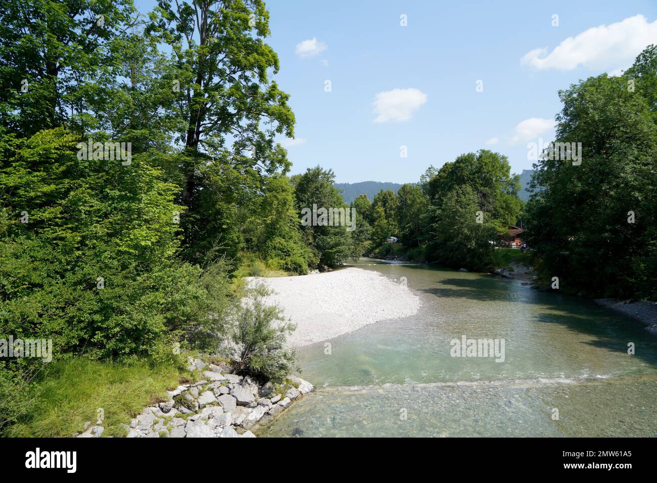 A river in the green forest on a bright sunny day Stock Photo - Alamy