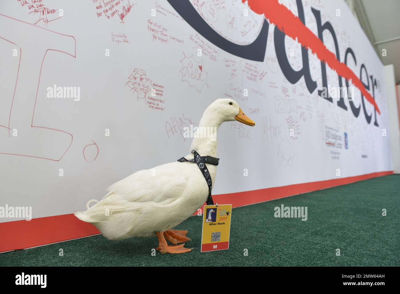 IMAGE DISTRIBUTED FOR AFLAC INC. - The Aflac Duck signs MD Anderson's ...