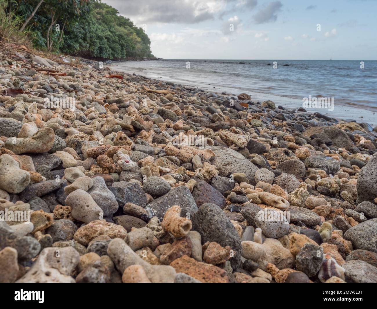 a low view close up of coral rubble shingle stone beach sea Caribbean ocean Stock Photo