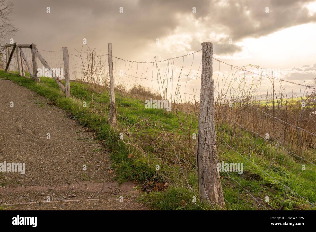 A closeup of a mesh wire fence with wooden post on a farm Stock Photo ...