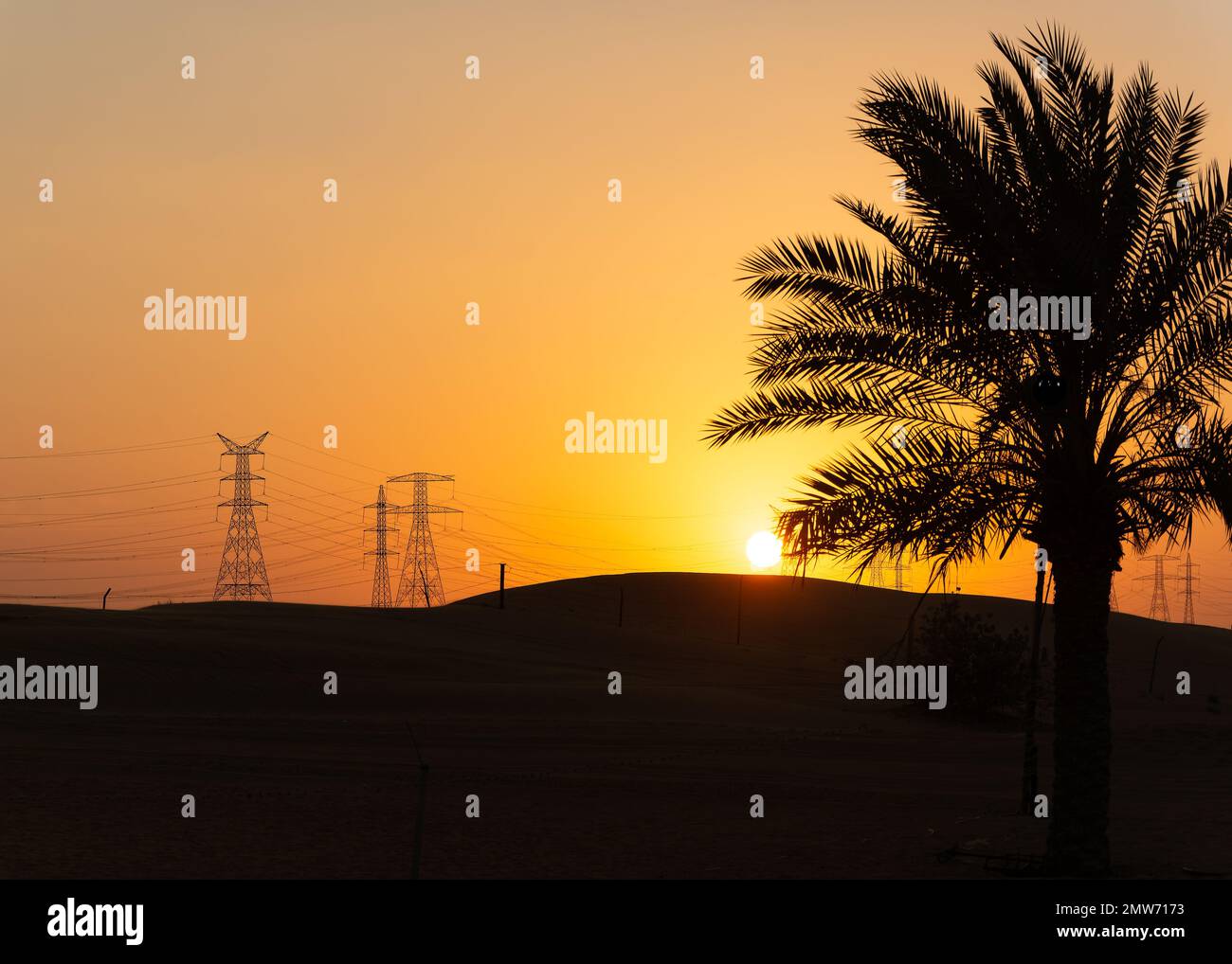 The silhouettes of a palm tree and transmission towers at sunset Stock ...