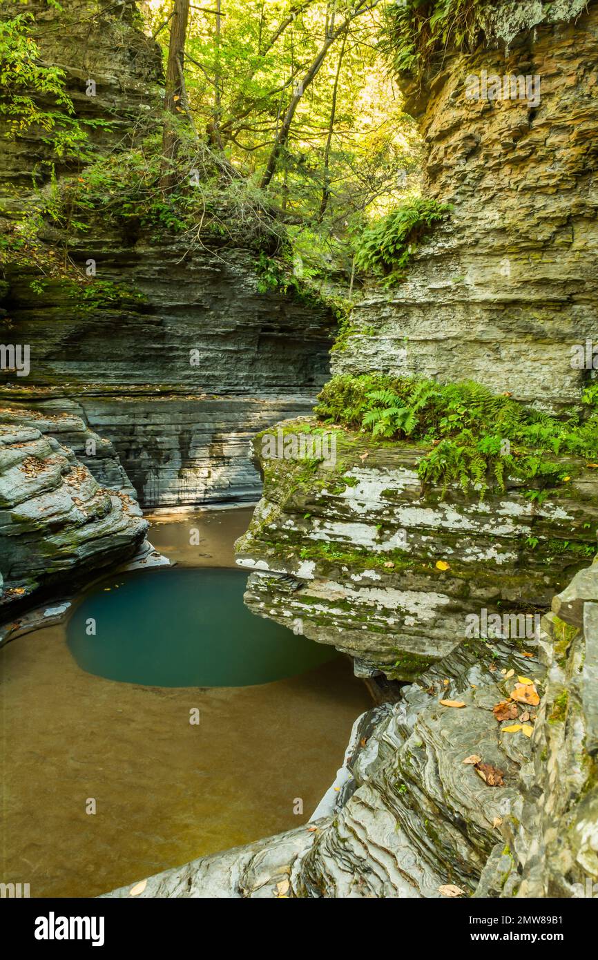 The Trail at Buttermilk Falls State Park Stock Photo Alamy