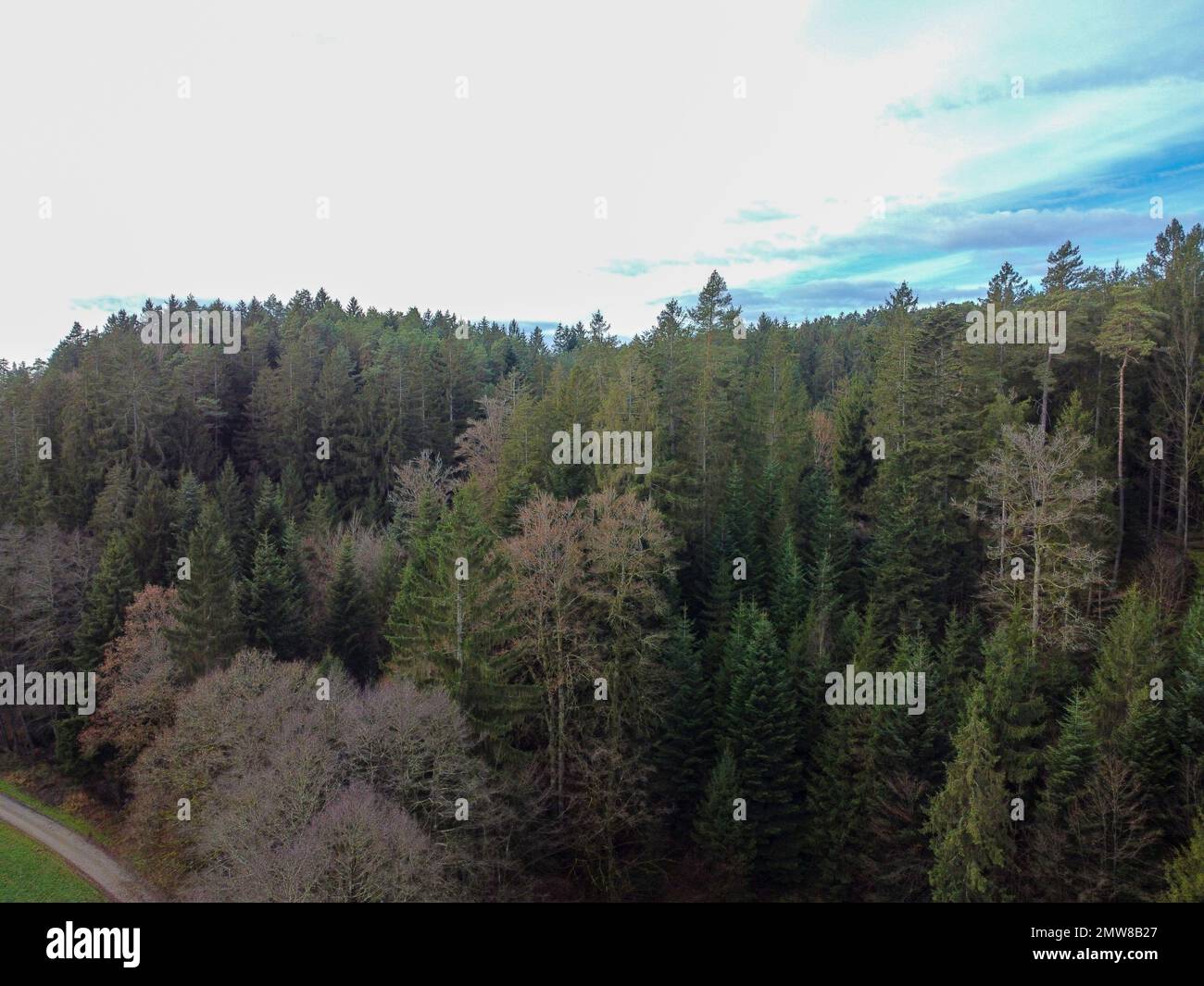 A bird's-eye view of a dense forest under a cloudy sky Stock Photo - Alamy