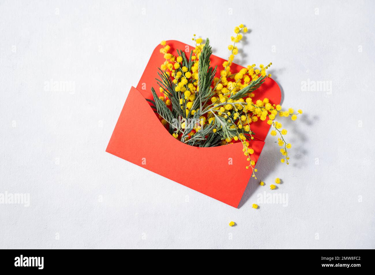 A branch of yellow mimosa flowers in a red envelope on a light background. Concept of 8 March, happy women's day. Top view and space for text. Stock Photo
