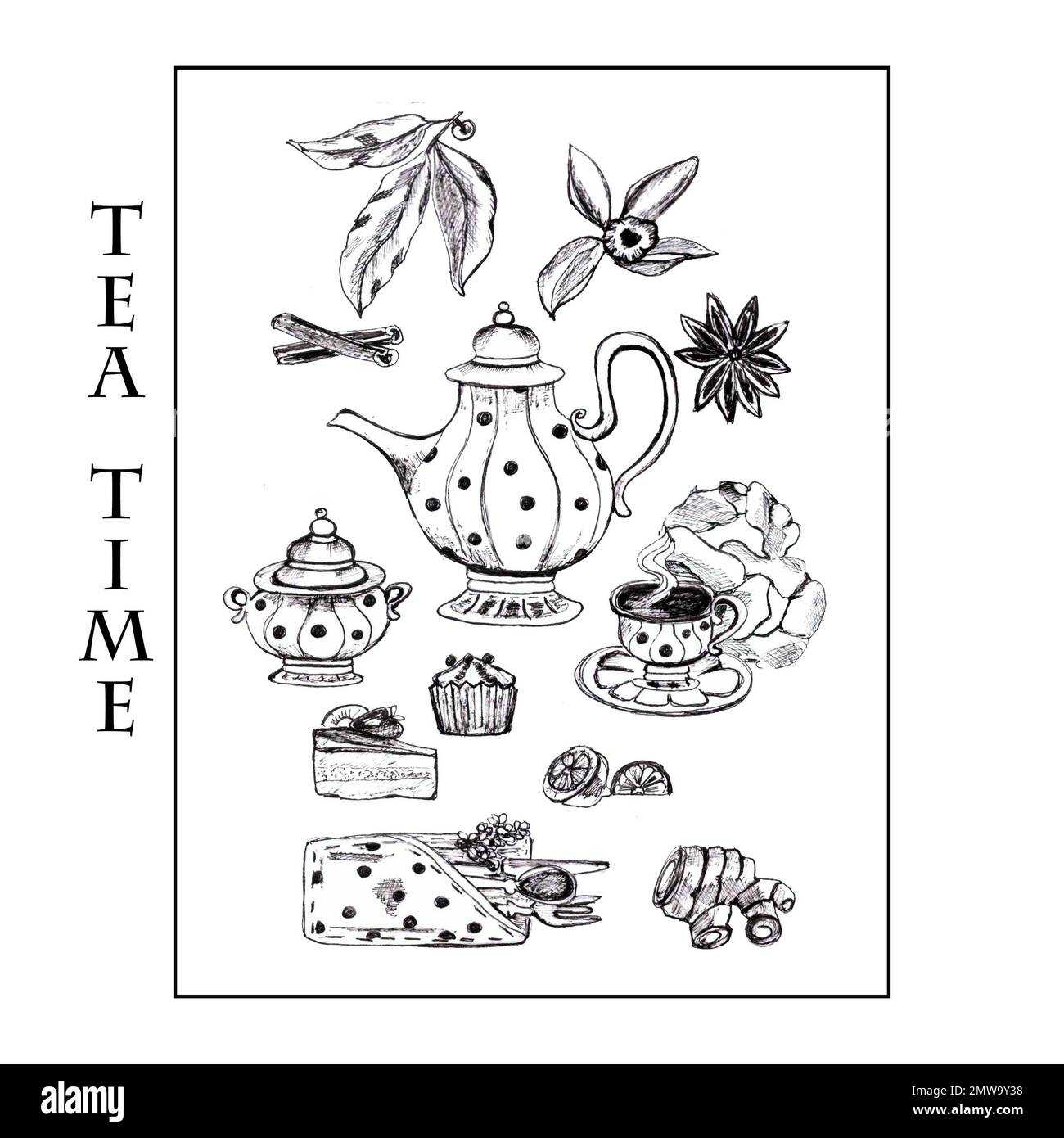 Hand drawn set of tea collection elements in graphic style, isolated on white background.Set for