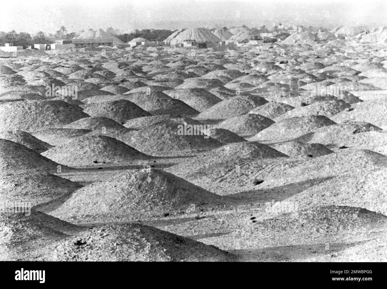 Tens of thousands of Copper Age burial mounds undulate over the main island of Bahrain in the