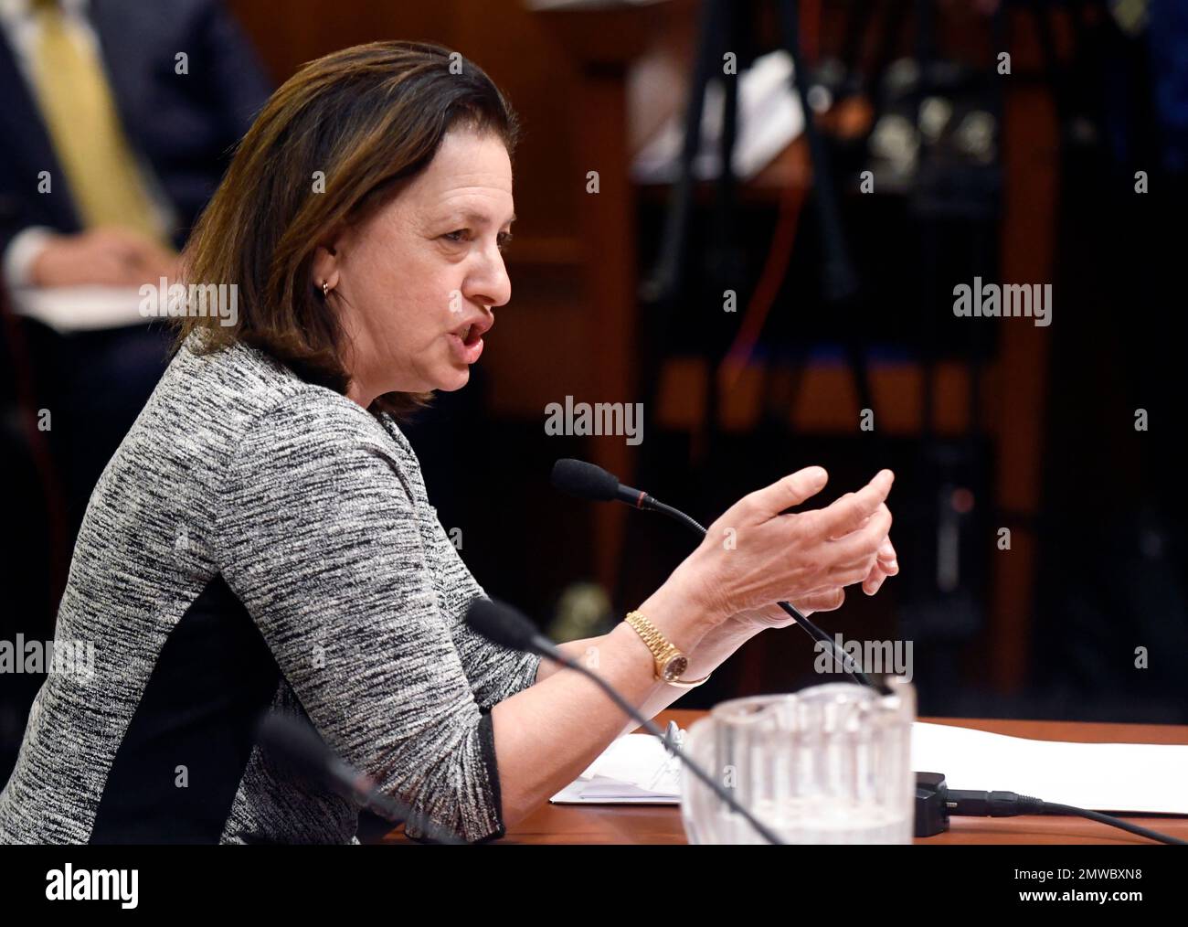 Audrey Zibelman, Chairman of New York State Public Service Commission