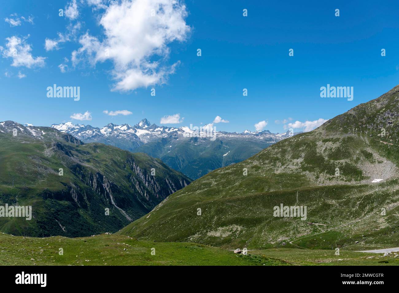 Alpine landscape near the Nufenen Pass with the Finsteraarhorn in the background, Ulrichen, Valais, Switzerland Stock Photo