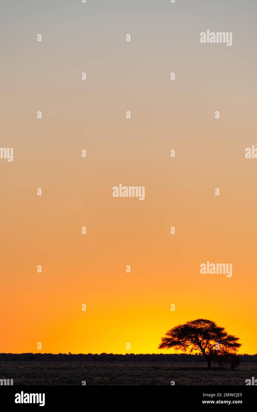 Play of colours after sunset in the Central Kalahari Game Reserve, Kalahari Plains Camp