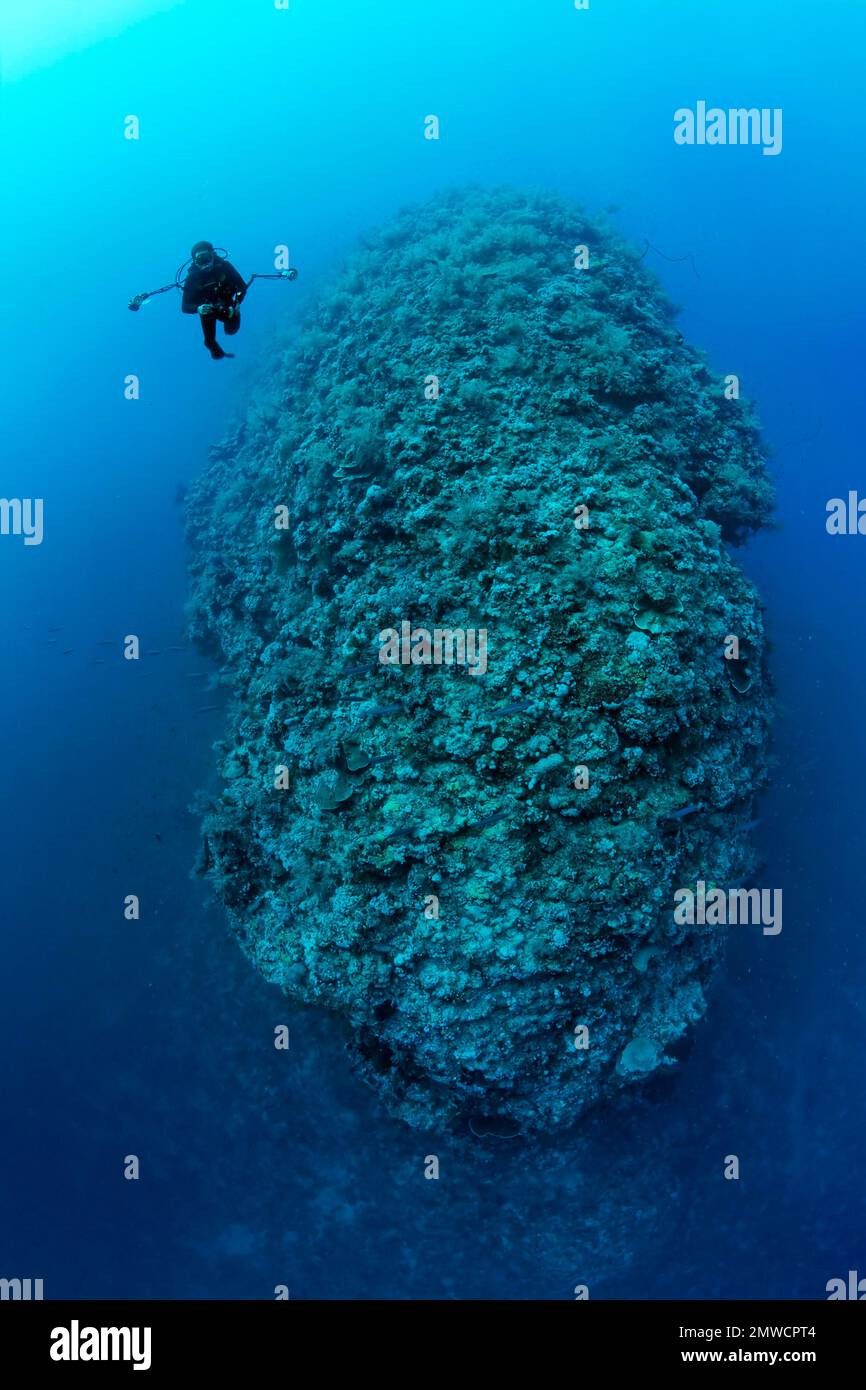 Diver, underwater photographer, on deep dive at South Plateau Elphinstone Reef. Red Sea, Egypt Stock Photo