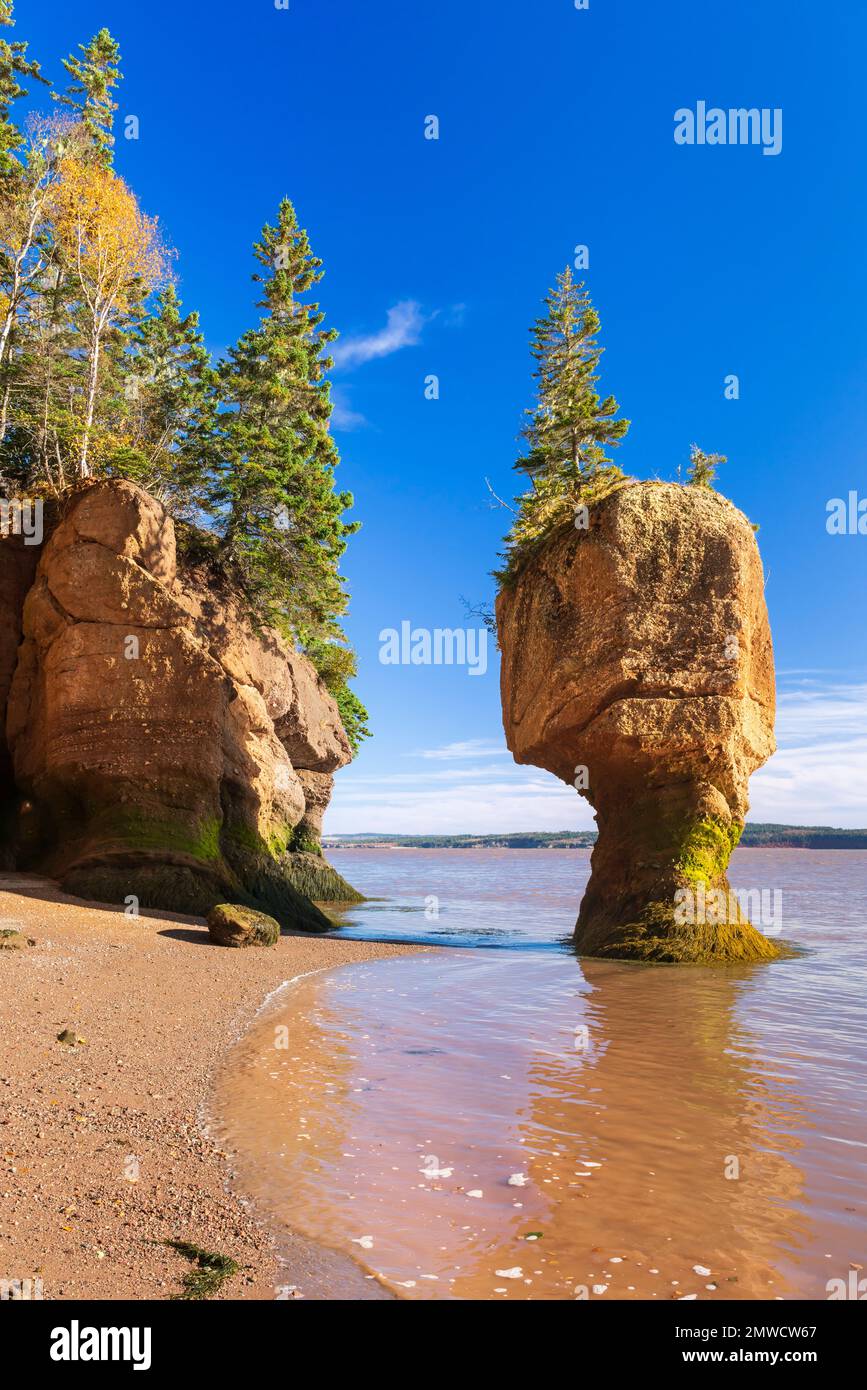 Sea stacks and cliffs at the Hopewell Rocks in Hopewell Rocks ...