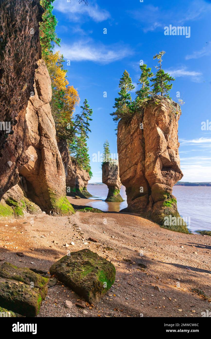 Sea stacks and cliffs at the Hopewell Rocks in Hopewell Rocks ...
